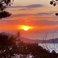 【新年のご挨拶】