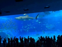 沖縄社員旅行へ行ってきました②